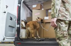 Відповідальність за контрабанду в Україні